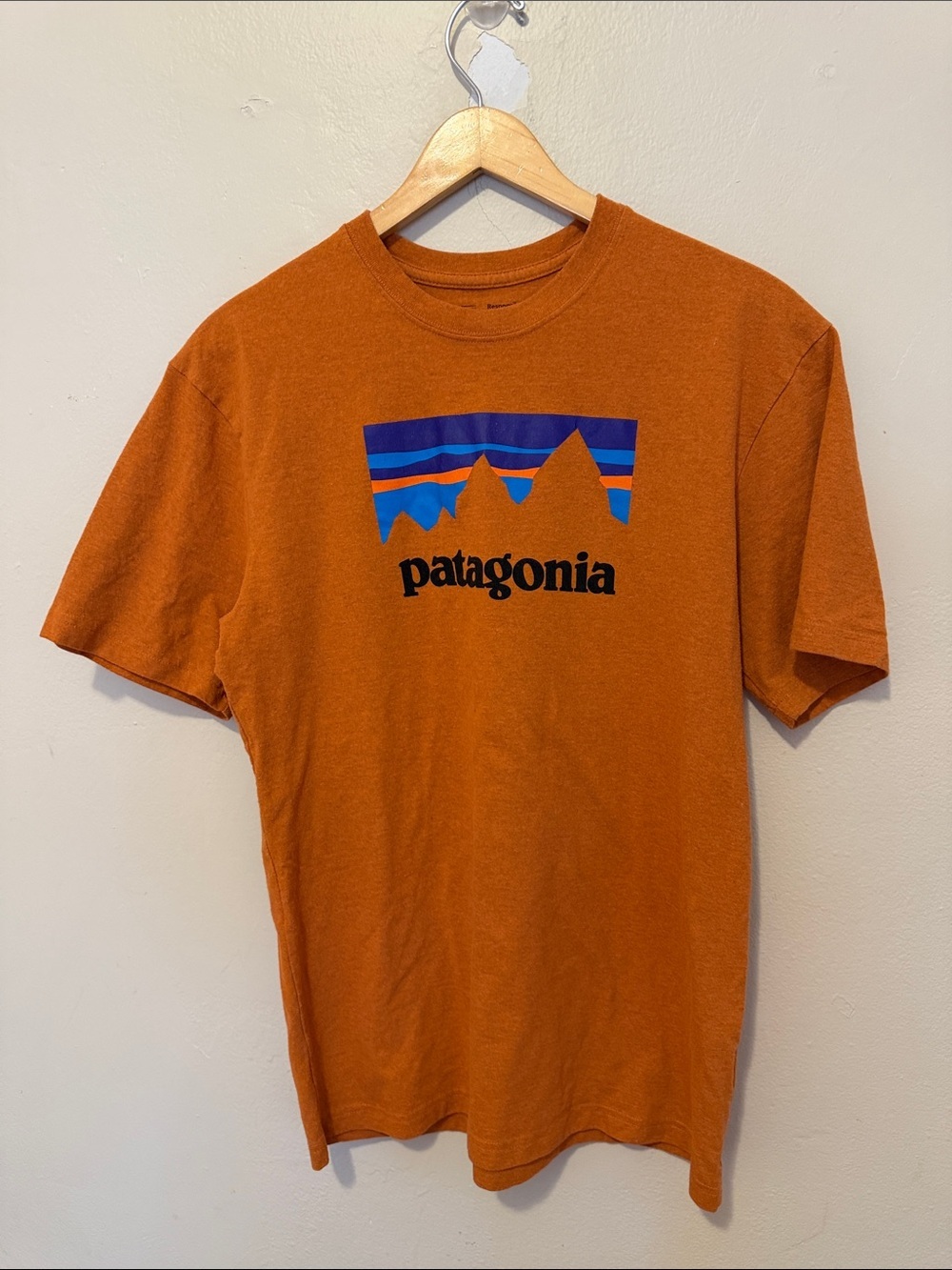 Patagonia Rust Orange Short-Sleeve Tee with Blue Graphic